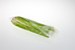 The wicketted Celery (Standard) bag has been specifically designed for the packaging of celery however similar shaped items can also be packed. The standard bag has an external flap which can be turned over the top of the bag to fully enclose the product within. 